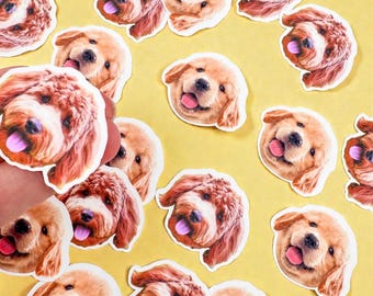 May include: A collection of stickers featuring the face of a golden retriever dog with its tongue sticking out. The stickers have a white border and are scattered on a yellow background.