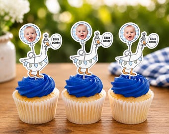 Silly Goose cupcake toppers | One Silly Goose birthday party | Custom party toppers | Silly Goose First Birthday | Goose Party Decor |