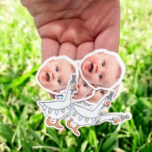 Silly Goose confetti and table decorations | one silly goose | silly goose birthday party | silly goose party supplies | goose party theme