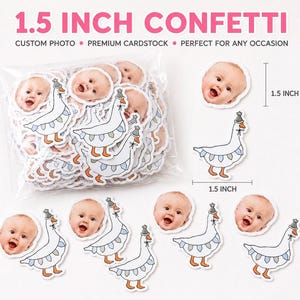Coriandoli e decorazioni per la tavola a tema Silly Goose / una silly goose / festa di compleanno a tema silly goose / articoli per feste a tema silly goose / festa a tema oca