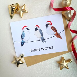 Oiseaux gazouillant de la saison - carte de Noël/vacances vierge (5 x 7 po./A7)