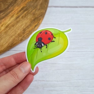 Autocollant en vinyle brillant coccinelle 3 "x2.5" - insecte, coccinelle