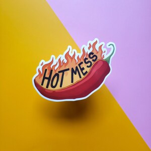 Hot Mess Chili Pepper 3 Vinyl Sticker glossy Funny Relatable Humor Dumpster Fire Fire Waterproof image 2