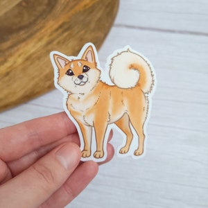 Rouge Shiba Inu 3"x2.5 » Autocollant en vinyle brillant - Doge, Chiot