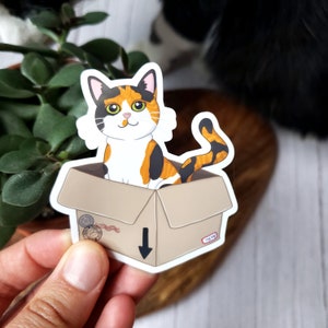 Autocollant en vinyle 3 pouces Chat dans une boîte (brillant) - 4 variantes