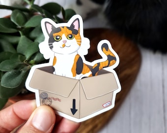 Cat in a Box 3" Vinyl Sticker (glossy) - 4 Variations