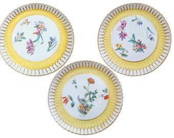 1880's Victorian Copeland Spode Dessert Plates: Hand Painted Botanical Flowers Fine Bone China Christmas Sale