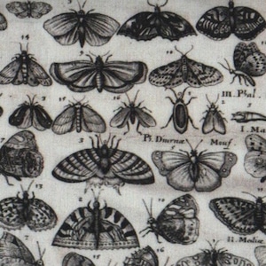 Puede incluir: Un estampado de tela con un patrón repetitivo de ilustraciones científicas en blanco y negro de varias polillas y mariposas. El diseño incluye numerosas especies de insectos en diferentes tamaños y orientaciones, acompañadas de pequeñas etiquetas numéricas.