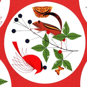 May include: A repeating pattern of white circles with red borders on a red background. Each circle features a stylised illustration of a squirrel, a cardinal, a branch of berries, and a butterfly. The illustrations are in shades of red, orange, yellow, brown, and green.
