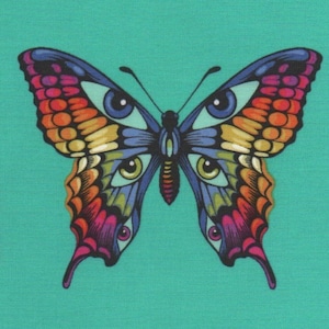 May include: A teal background with a repeating pattern of colorful butterflies. The butterflies have large, detailed eyes and wings with a variety of colors and patterns.