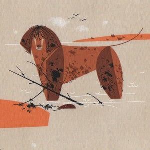 Może przedstawiać: Stylizowana ilustracja brązowego psa stojącego w zbiorniku wodnym z pomarańczowymi i brązowymi akcentami. Pies ma długi ogon i puszysty ogon. Tło jest jasnobeżowe z małymi białymi chmurami i czarnymi ptakami.