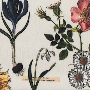 May include: A vintage botanical illustration featuring a pink rose with green leaves, white daisies, a blue crocus, and a white snowdrop. The illustration includes the text "Class. IX.  INORIA.  Ordo MONOGYNIA."