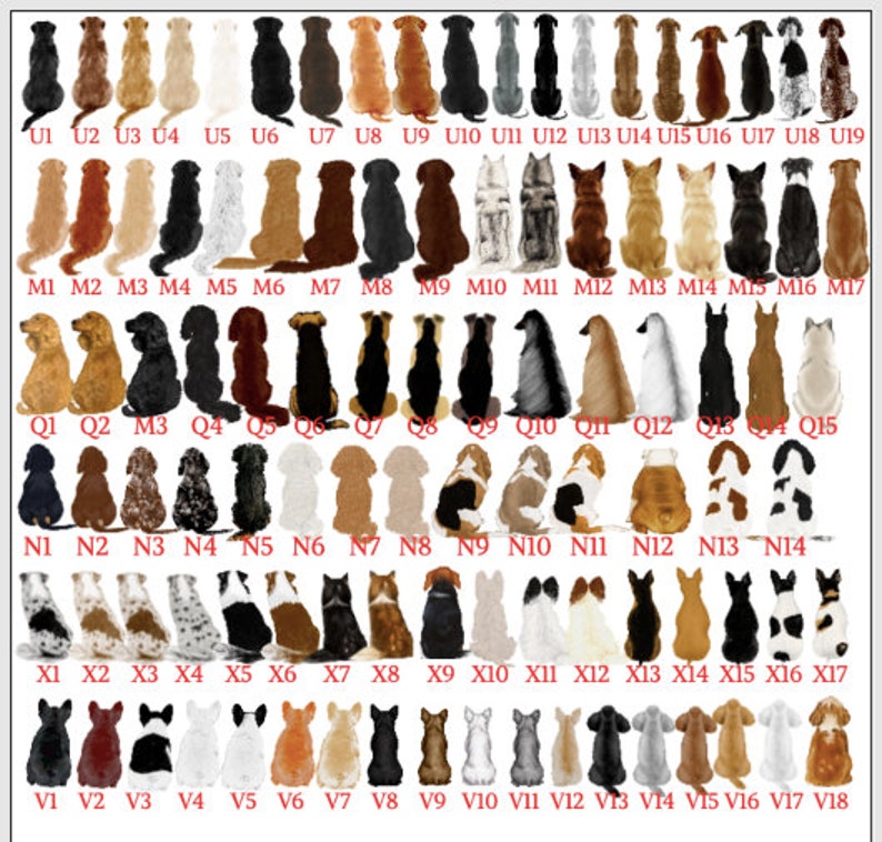 May include: A collection of dog illustrations in various breeds and colors, arranged in rows and columns. Each dog is depicted in a seated position, with a unique coat pattern and color. The image includes labels such as U1, U2, M1, M2, etc.