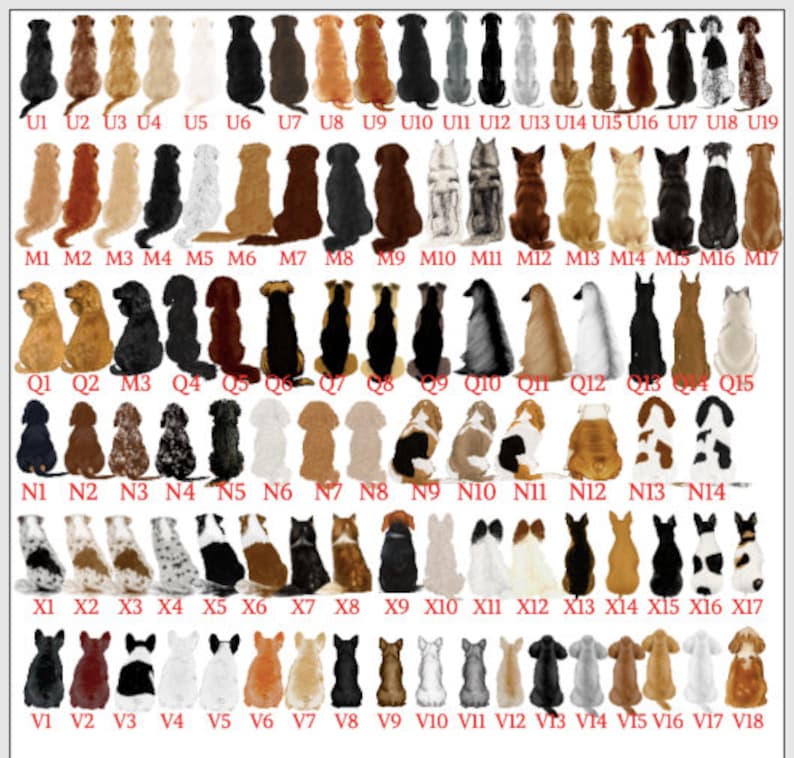 May include: A collection of dog illustrations in various breeds and colors, arranged in rows and columns. Each dog is depicted in a seated position, with a unique coat pattern and color scheme. The image includes labels such as U1, U2, M1, M2, etc.