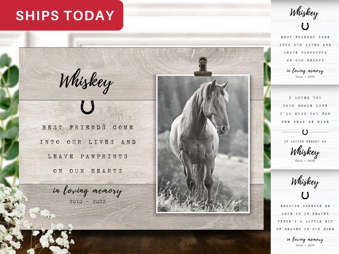 Horse Memorial Gift Personalized Horse Memorial Picture Etsy