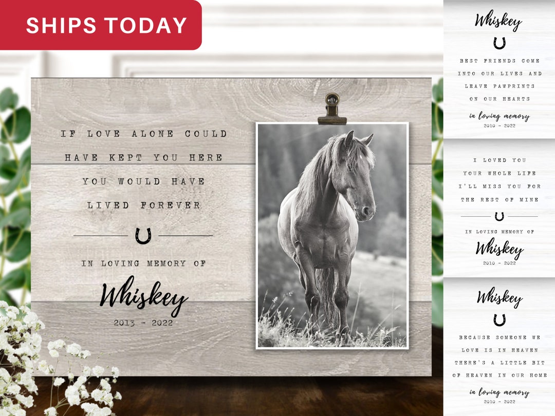 Horse Memorial Gift Personalized Horse Memorial Picture Etsy