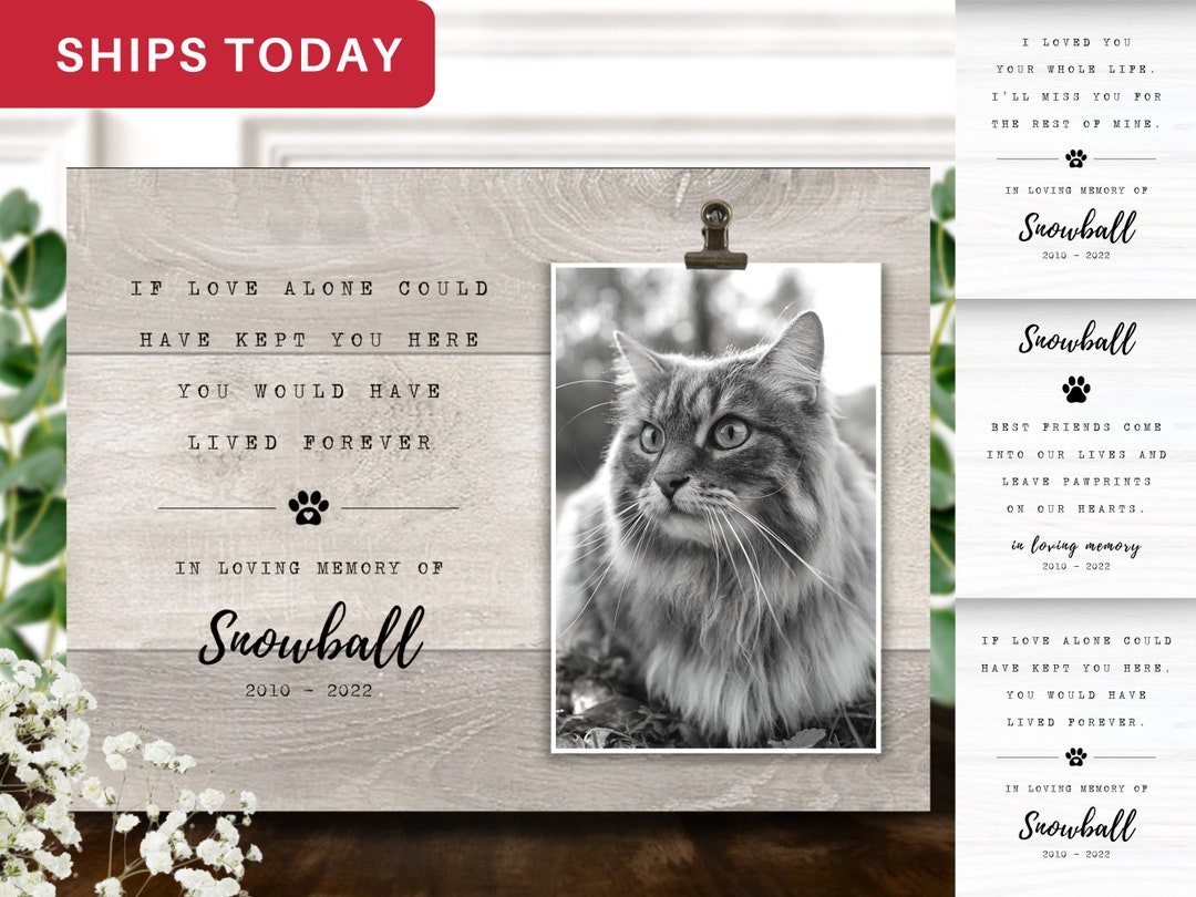 Cat Memorial Gift Personalized Pet Memorial Picture Frame Etsy