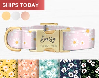 daisy dog accessories