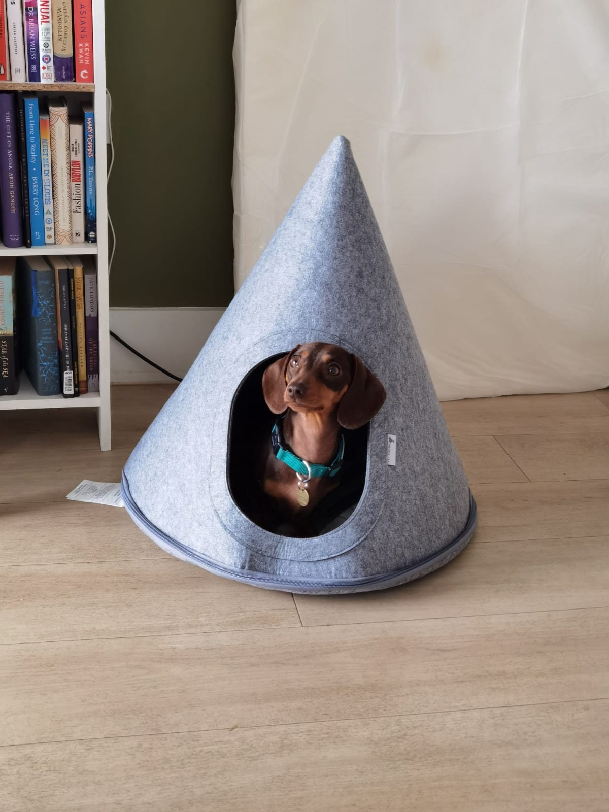 Boissonneault felt pet cave 2025 lucy hooded dog bed