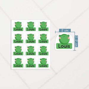 Kawaii Frog Name Tag Labels, Frog Sticker with Name, School Supplies Name Stickers