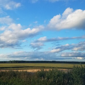 May include: A scenic landscape featuring a bright blue sky filled with fluffy white clouds. Below, a vast field of green and tan crops stretches towards a distant treeline. The foreground includes roadside vegetation.