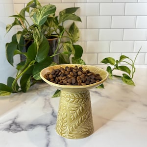 May include: A light green ceramic pet bowl with a raised pedestal base featuring an embossed leaf pattern. The bowl is filled with brown dry kibble. The design includes a wide, shallow rim and a tapered cylindrical stand with textured foliage.