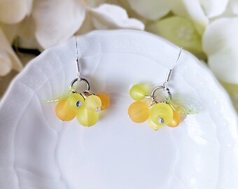 Citrus Fruit Dangle Earrings: 925 Sterling Silver or Plastic Hooks w Gift Box