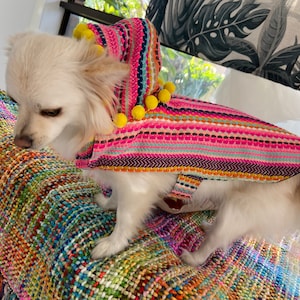 Mexican Pom Pom hoodie dog coat