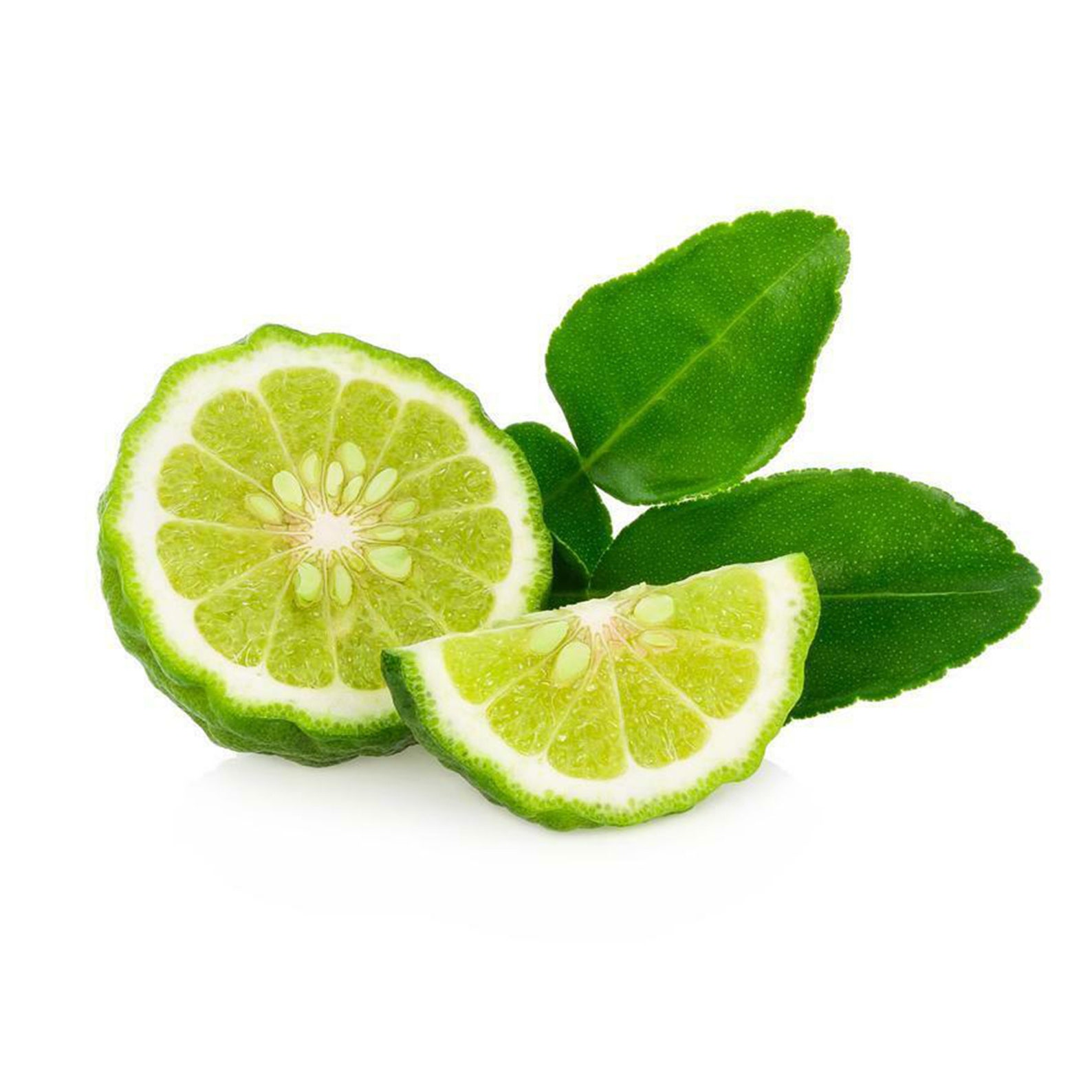 Lime Organic 10 Seeds Herb Seeds Organic Fruit Source of Etsy Canada
