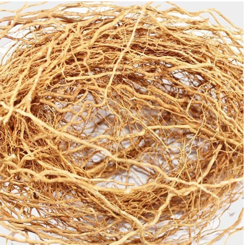 50g Vetiver Root Natural organic HerbChrysopogon Etsy