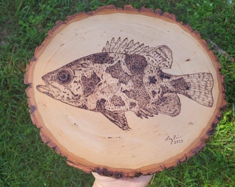 Original Holz gebrannte Schatten Bass Plakette, Pyrographie Süsswasser FischKunst