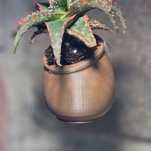 Vasos de plantação em miniatura – ideais para aquários, recintos para répteis e jardins suculentos para janelas