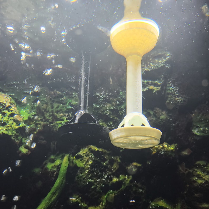 Puede incluir: Dos bombas de aire para acuario, una negra y una blanca, est&aacute;n sumergidas en un tanque con algas verdes. La bomba blanca tiene una parte superior amarilla y una base blanca con un dise&ntilde;o decorativo.