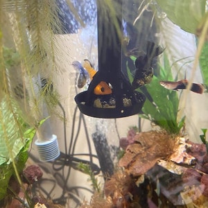 Puede incluir: Un dispensador de comida para peces negro con un marco de pl&aacute;stico negro y una red de malla negra. El dispensador est&aacute; colgado en un tanque de peces con algunos peces peque&ntilde;os de color naranja y negro nadando alrededor.
