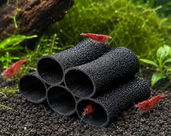 Tunnels à crevettes