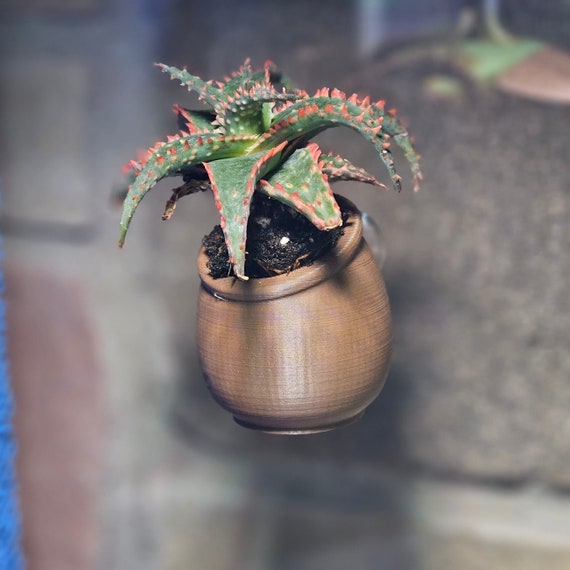 Miniature Planter Pots - Ideal for Aquariums, Reptile Enclosures, and Windowsill Succulent Gardens