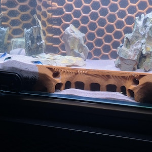 Peut inclure: Sc&egrave;ne d'aquarium avec une structure en forme de pont marron au premier plan. Le r&eacute;servoir comprend du sable, des roches et un fond en nid d'abeilles. Plusieurs petits poissons bleus nagent dans l'eau, cr&eacute;ant un environnement sous-marin vibrant.