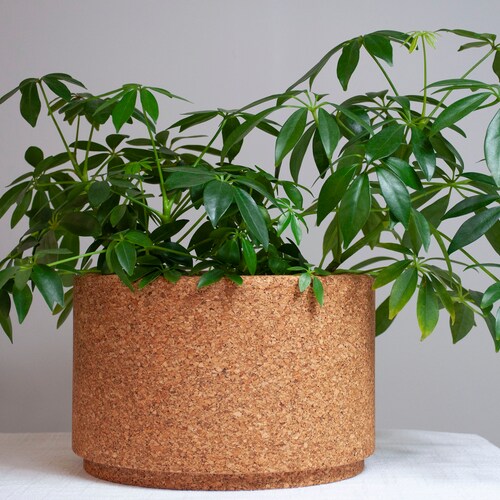 Bloem Cork Planter Etsy