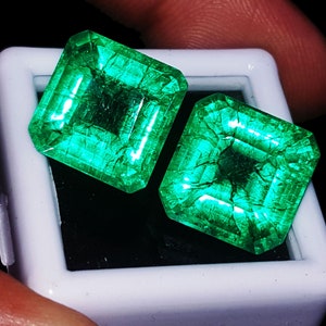 Lose Edelstein-natürliche Smaragd-Paar 8 bis 10 Ct Octagon Form zertifiziert
