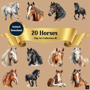 Téléchargement numérique de la collection de cliparts chevaux : art équin majestueux haute résolution, arrière-plans transparents, faire-part, races polyvalentes