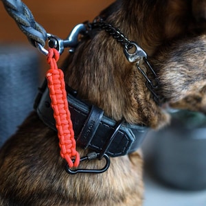 Dog Collar Safety Strap // Static