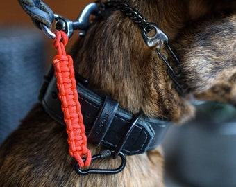 May include: A close-up of a dog wearing a black leather collar with a metal buckle and a red paracord leash attached to a metal clip.