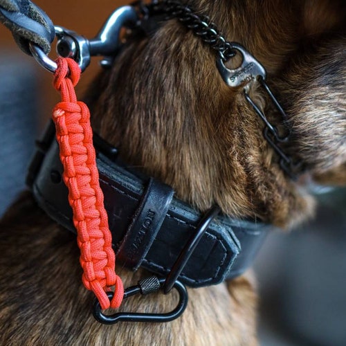 Dog Collar Safety Strap // Static Etsy