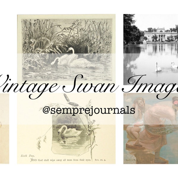 Vintage Swan images junk journal collage digital kit