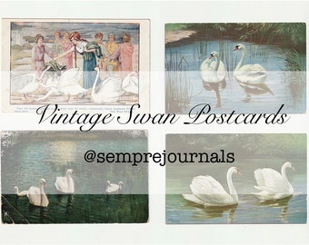 Vintage Swan Postcards Digital Printable for Journaling and Collage
