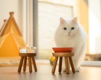 cat bowl elevated