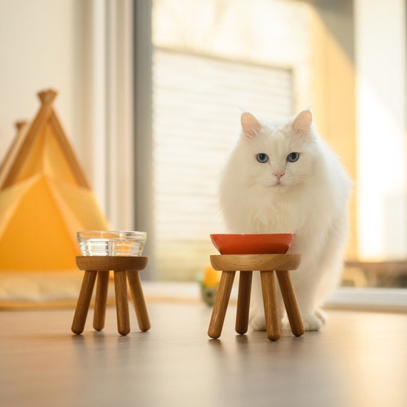elevated cat dishes