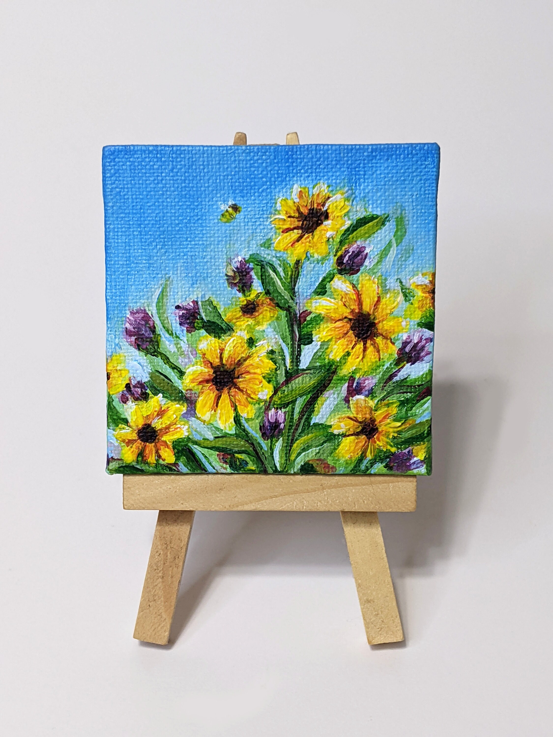 Mini Canvas – Eyes And Colors
