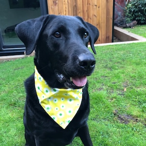 Yellow Floral Bandana/ pet accessories/ flower bandana/ dog neckwear/ cat accessories