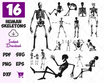 Download Human Body Svg Etsy